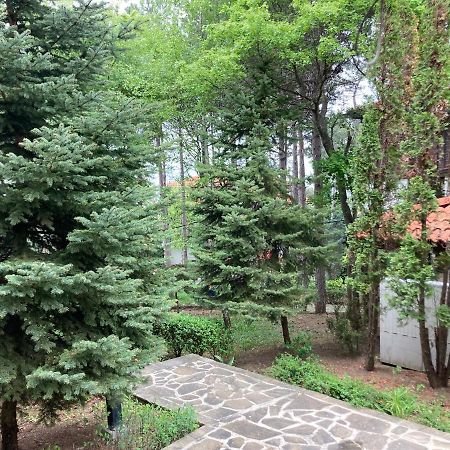 Lovely Apartment Santa Marina Sozopol Exteriér fotografie