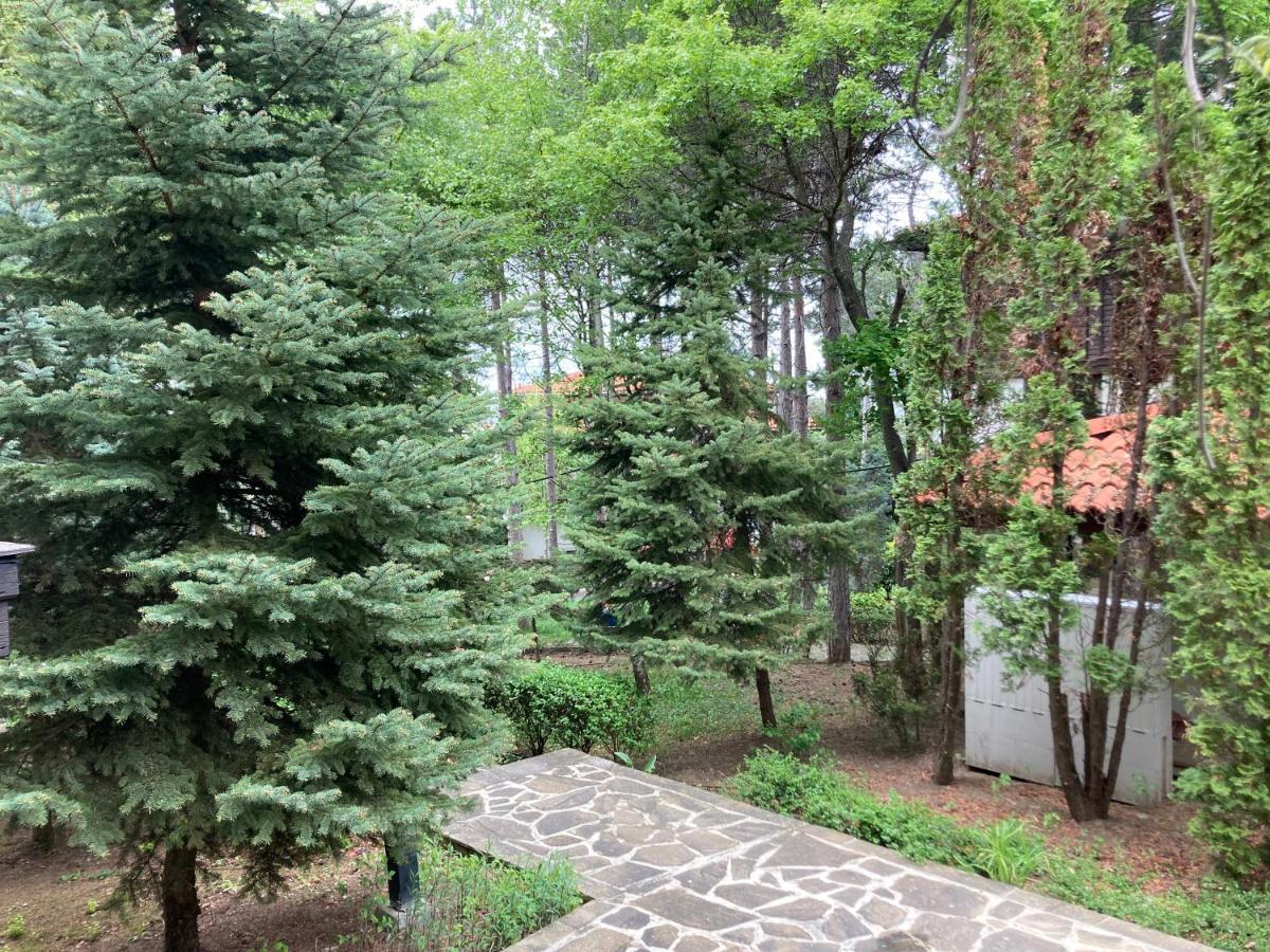 Lovely Apartment Santa Marina Sozopol Exteriér fotografie